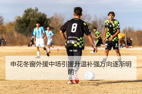 申花冬窗外援中场引援升温补强方向逐渐明朗